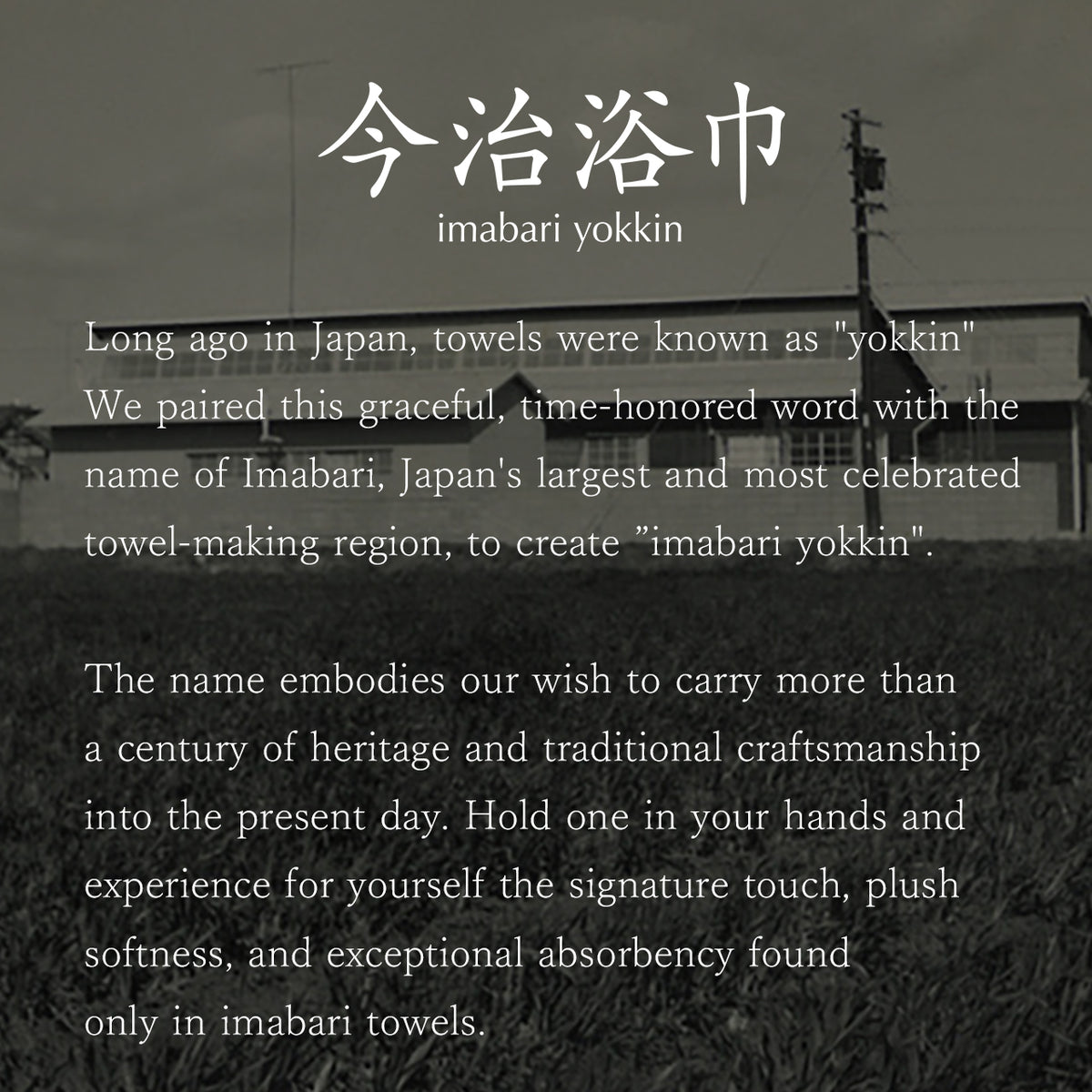 CHRIS MESTDAGH IMABARI [cotton] COCOON Wash Towel